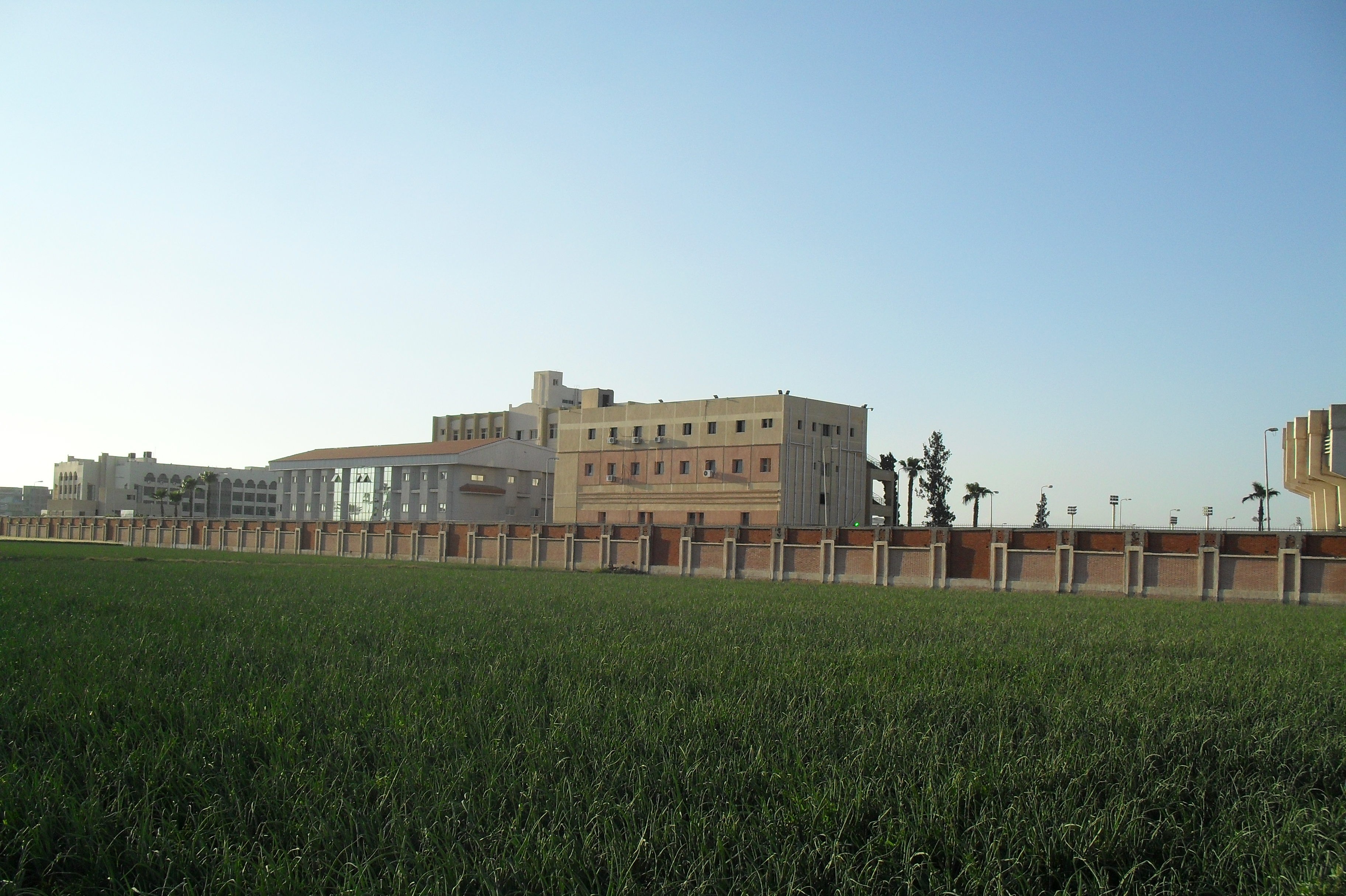 Tanta University Campus